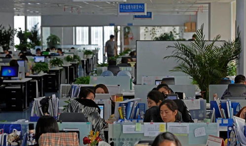 經(jīng)開(kāi)區(qū)重點(diǎn)服務(wù)業(yè)增速持續(xù)加快 以信息技術(shù)咨詢(xún)服務(wù)為引擎